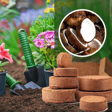 Load image into Gallery viewer, Organic Coconut Coir for Plants™ - Pack of 10
