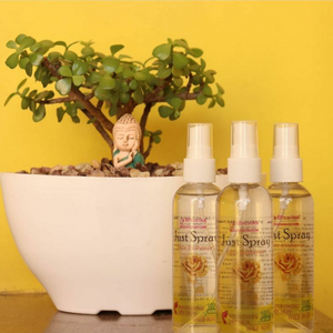 Bhuvika™ - Just Spray Instant Face Freshener (Pack of 2)