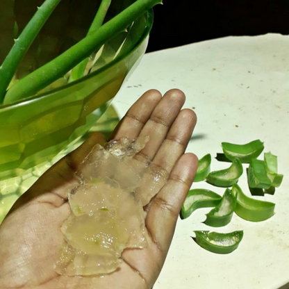 Aloe Vera Gel - Bhuvika™